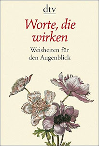 Worte, die wirken: Weisheiten für den Augenblick (dtv Ratgeber)