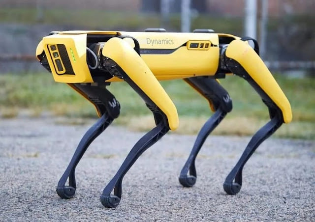Dog robot