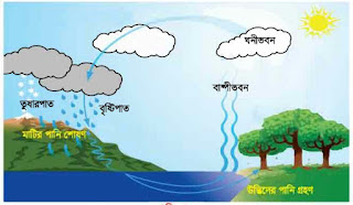 পানিচক্র কি? What is Water cycle in Bangla?