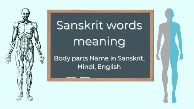 Human Body parts name in Sanskrit with meaning