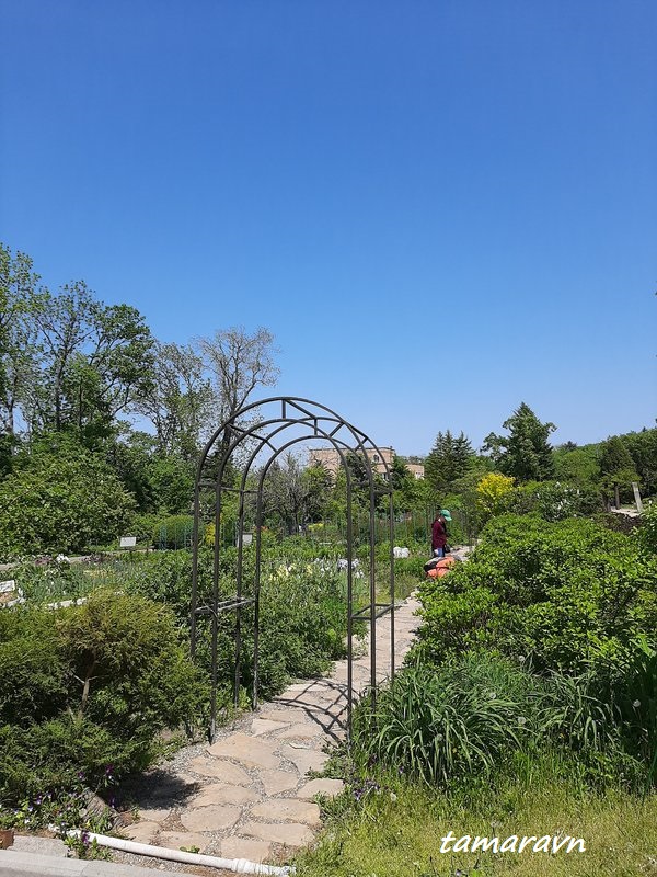 Ботанический сад в конце мая