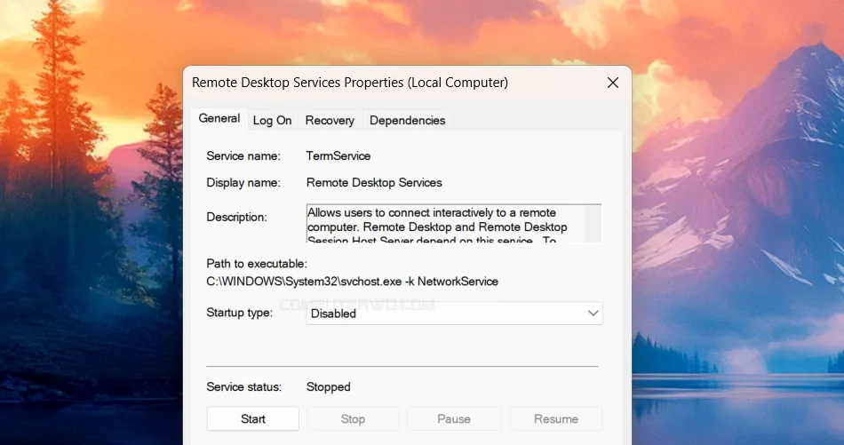 Remote Desktop services
