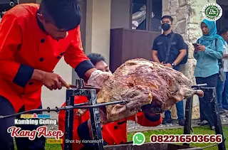Kambing Guling Eksklusif Tasikmalaya,Kambing Guling Eksklusif,Kambing Guling Tasikmalaya,Kambing Guling,