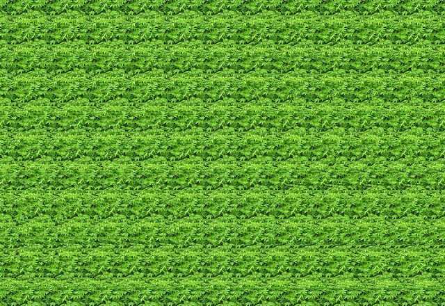 mengenal stereogram, cara melihat stereogram, cara membuat