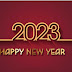 Happy New Year Wishing Messages for Friends