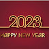 Happy New Year Wishing Messages for Friends