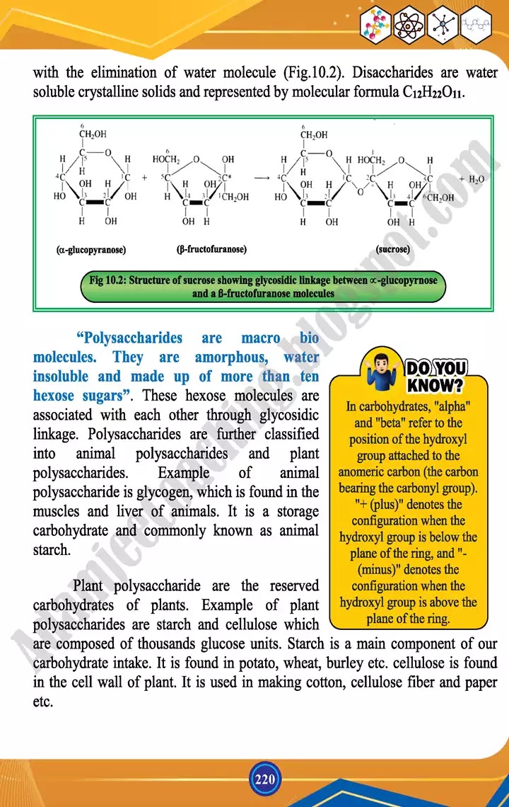 biochemistry-chemistry-class-12th-text-book