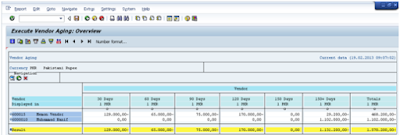 Vendor Aging Analysis Through SAP Report Painter