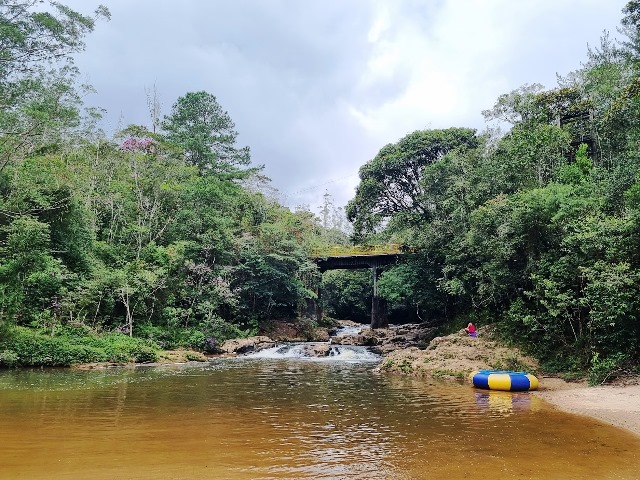 Foto de um lago na Selva SP, em Parelheiros,