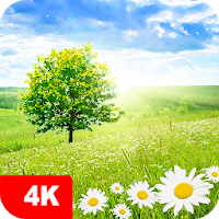 Nature Wallpapers 4K Apk Download for Android