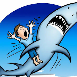 أضرار هجوم أسماك القرش على الإنسان وكيفية التعامل معها