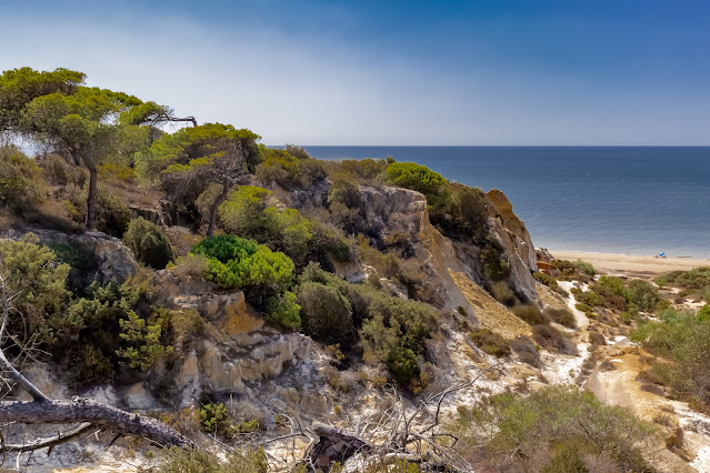 Acantilado de duna fósil con vegetación mediterránea de pinos y las azules aguas del mar al fondo, un día soleado con cielo azul