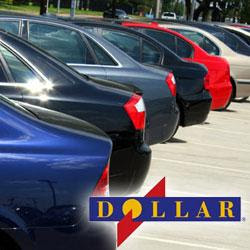 dollar car rental