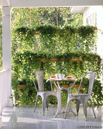 Outdoor Privacy Screen Ideas