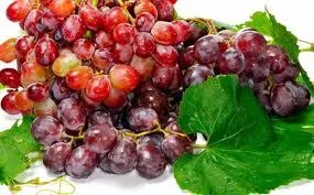 Pregnant Women Need Grapes Nutrition