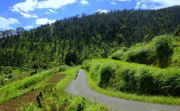 cerkak-berlibur-ke-rumah-nenek-dalam-bahasa-jawa