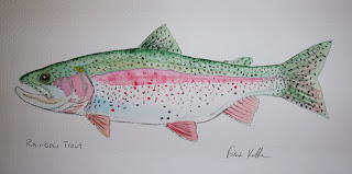 Rainbow Trout, Pat Kellner, P. H. Kellner, Fishing Art, Fly Fishing Art, Texas Freshwater Fly Fishing, TFFF, Fly Fishing Texas, Texas Fly Fishing