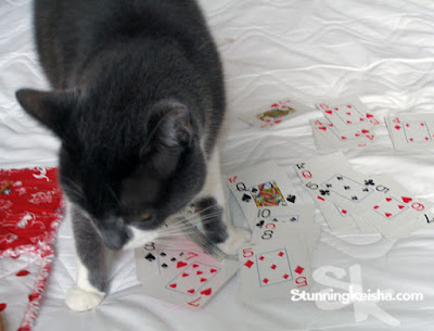 Cats and the Value of Solitaire