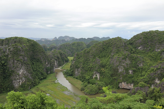 08-08-2023. Visita de Mua Cave, Trang An, Thai Vi, Bich Dong y Bird Valley - Dos semanas en el Centro-Norte de Vietnam (1)