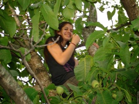 CREYO HABER SIDO VICTIMA DE CAGADAS DE PALOMA: ERAN TRABAS QUE DORMIAN EN UN ARBOL.