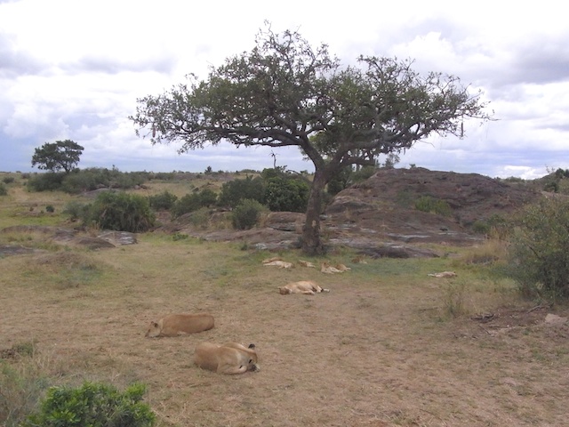 20121025-RIMG0115A.jpg