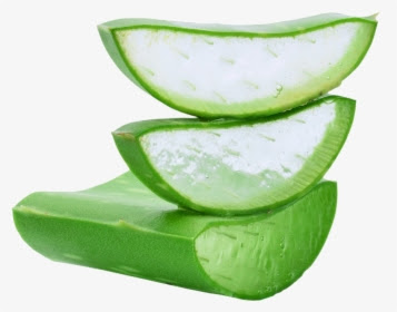 Aloe vera: Uses & Benefits, How to make aloe vera gel at home
