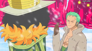 ワンピースアニメ パンクハザード編 598話 ロロノア・ゾロ Roronoa Zoro | ONE PIECE Episode 598