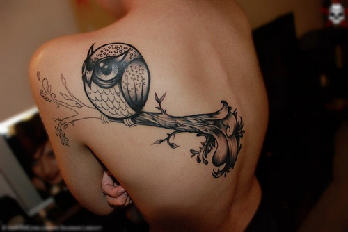 owl tattoos designs owl tattoo