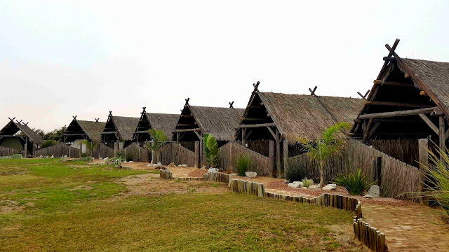 Tiger Reef Campsite