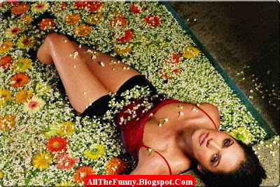 hottest photos of Isha Koppikar sexy images collection