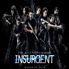 Download Insurgent (2015) Dual audio 720p hindi/English 