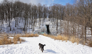 Stormwater management facility in Earl Bales Park, Toronto.