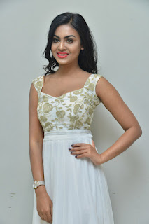 Meghla Mukta at Sakalakala Vallabhudu Movie Press Meet