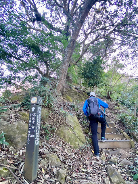 埋伏坪步道