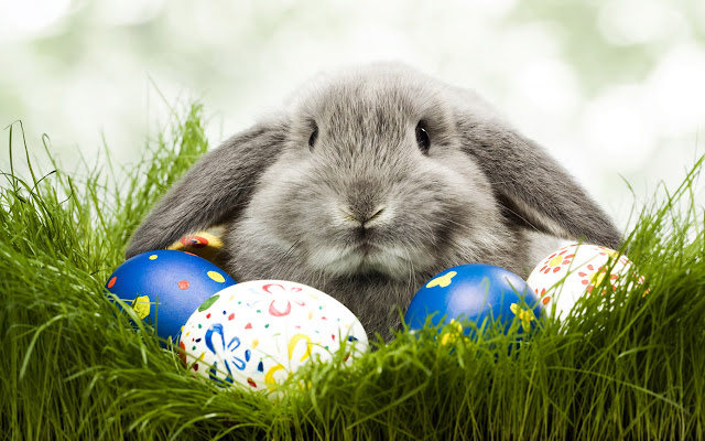 Free Download Easter 2013 HD Wallpapers for Android Tablets