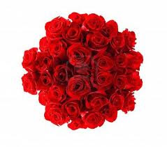 Valentine's day Red Roses