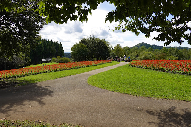 鳥取県西伯郡南部町鶴田　とっとり花回廊　花の丘