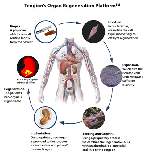 Regenerative medicine