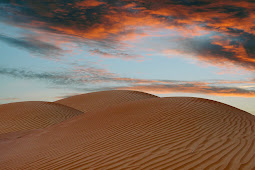 Desert in Sunset Wallpaper