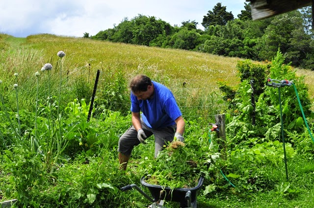 gartenarbeit