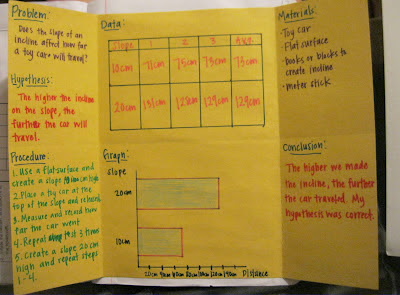 Inside a science board with parts of a science investigation