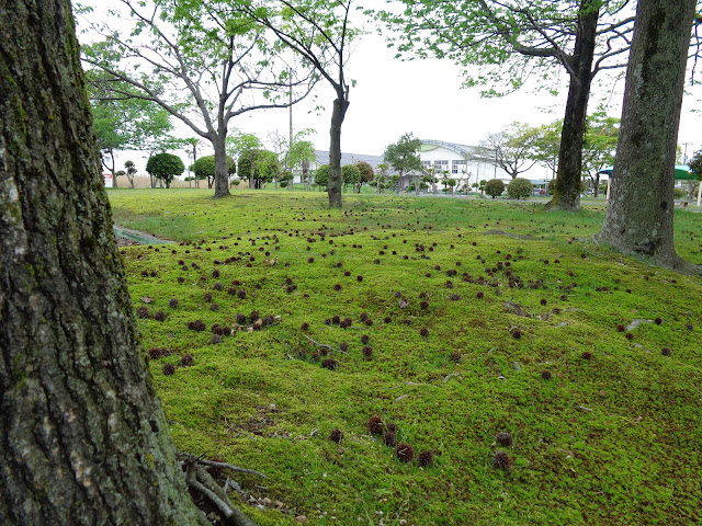 東郷湖羽合臨海公園浅津公園