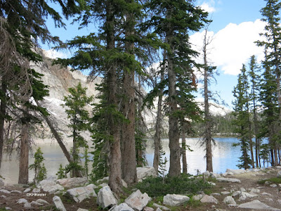 Snowy Range, Wyoming