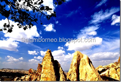 DSC_0784_Fotor