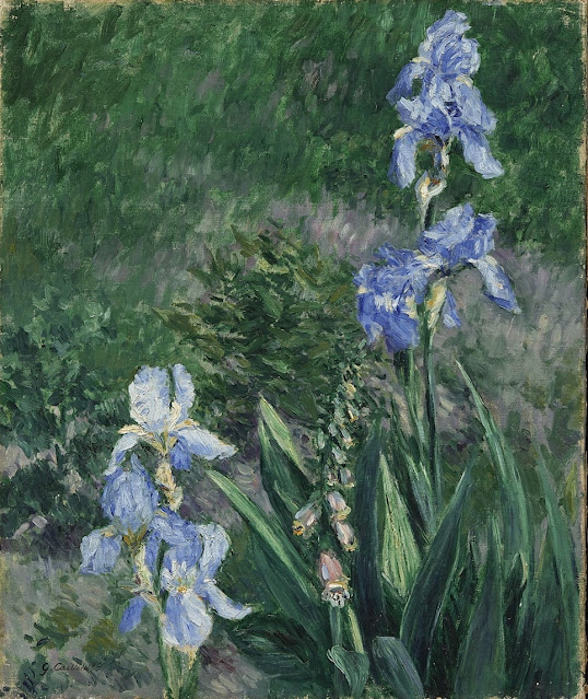 Gustave Caillebotte (1848-1894) Iris bleus, jardin du Petit Gennevilliers, c. 1892. Huile sur toile, 55.2 × 46.4 cm. Collection privée