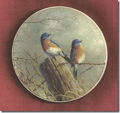 bluebirds