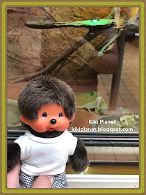 kiki monchhichi reptiles pogona dragon iguane