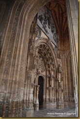 32-DSC_1433