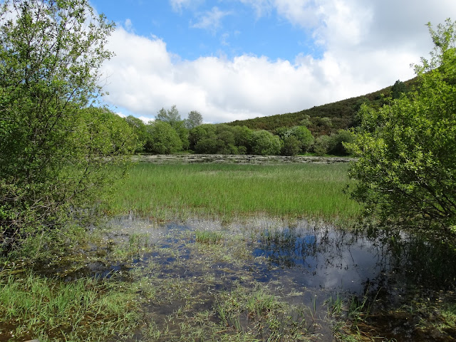 Laguna de Lucenza en O Courel