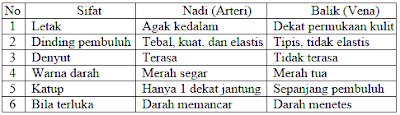 Perbedaan Pembuluh Nadi (Arteri) & Pembuluh Balik (Vena)